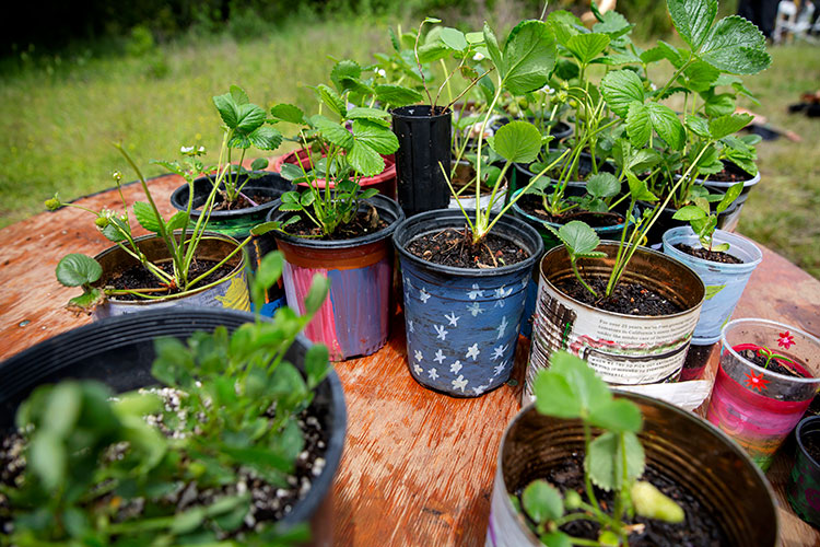 Small plants in hand-painted pots sit on a table at the CRS alternative graduation