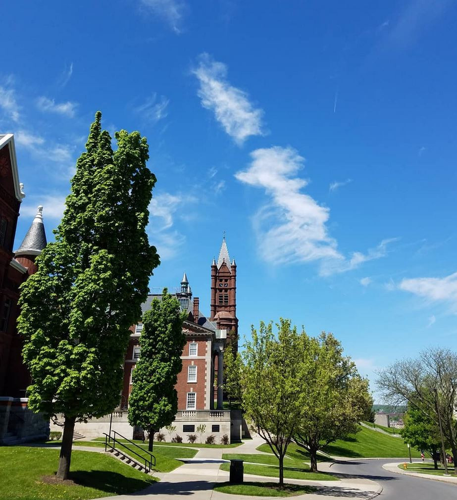 trees in front of Maxwell Hall