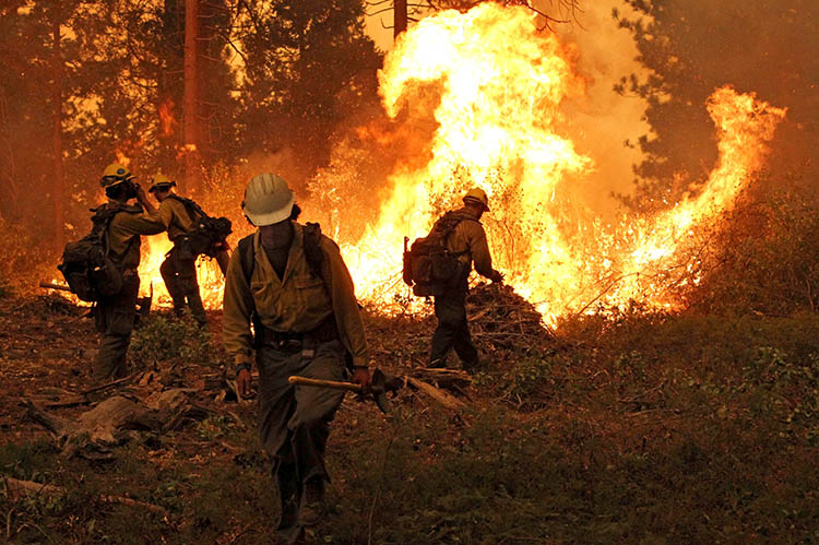 fire crews fight a wildfire