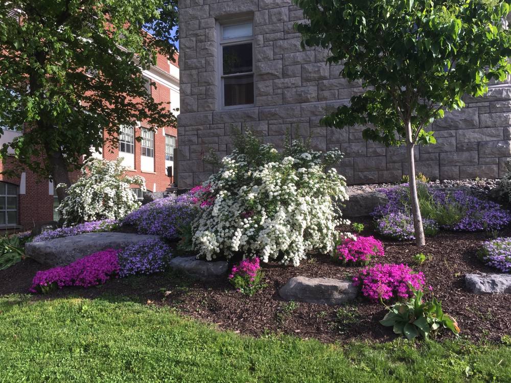 flowers in front of building