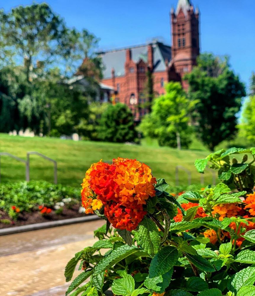 container of flowers in front of Einhorn Walk with Crouse College in background