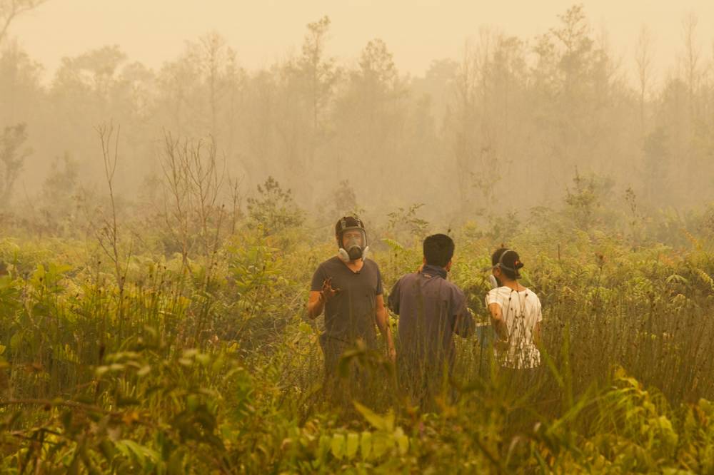 fire burning in Kalimantan Tengah, Indonesia 10/14/15