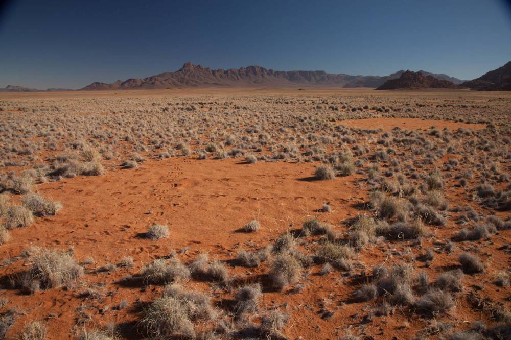 Namib fairy circles