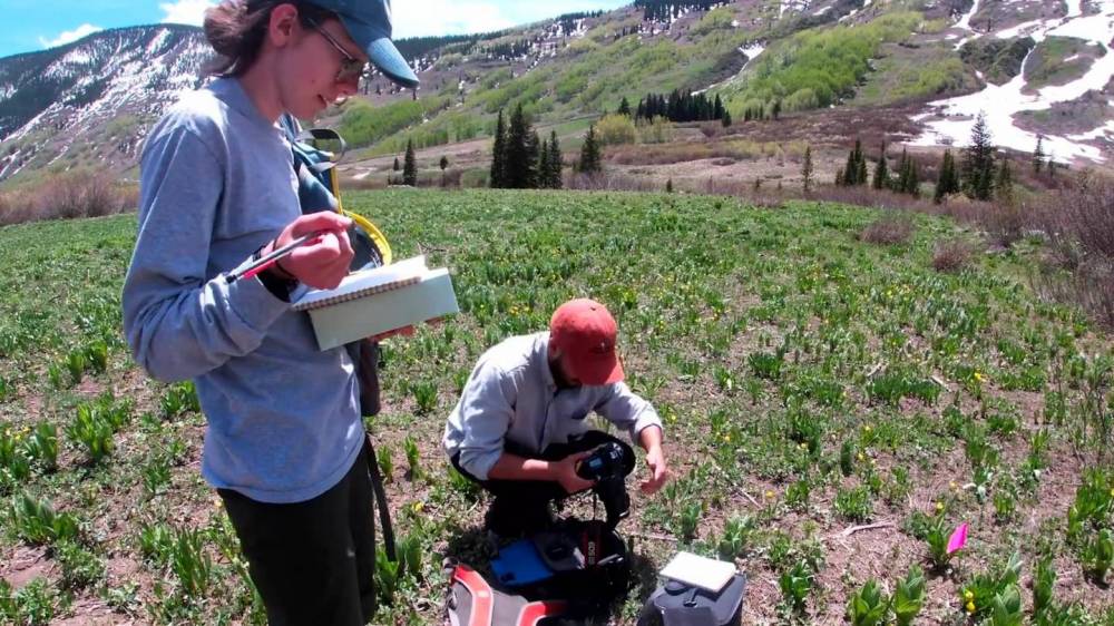 students gather data in a field