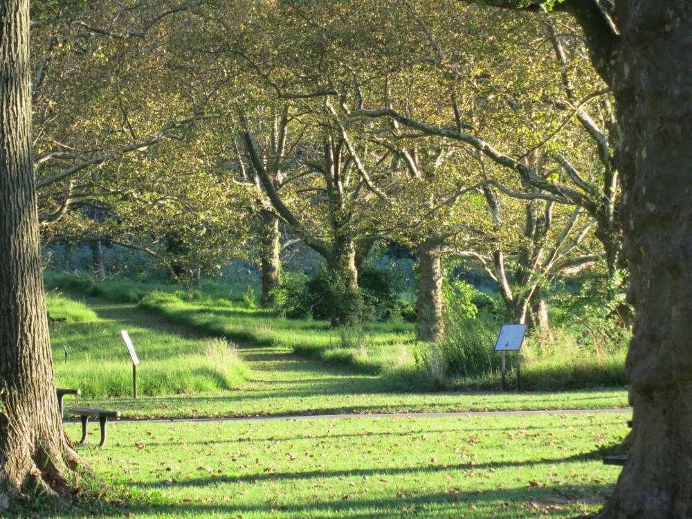 View of park land