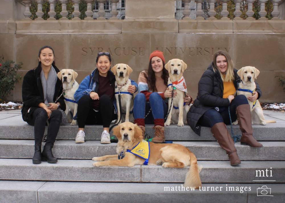 group of people sitting with dogs