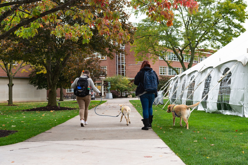 two women walking with two dogs on leashes