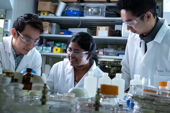 From left, Rice University graduate student Quan Anh Nguyen, postdoctoral fellow Anulekha Haridas and graduate student Botao Farren Song construct full-cell batteries with high-capacity silicon anodes and high-voltage nickel manganese cobalt oxide cathodes coated with protective alumina. (Credit: Jeff Fitlow/Rice University)