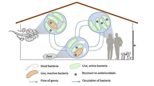 hartmann antibiotic resistance