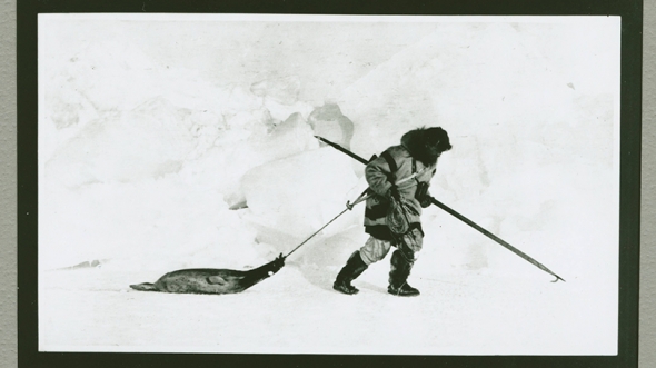 Vilhjalmur Stefansson Vilhjalmur Stefansson Arctic hunt
